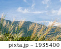 箱根のススキの花と空