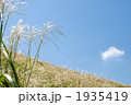 箱根のススキの花と空