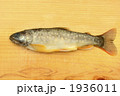 1936011
