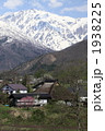 大出の春
