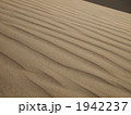 砂漠の丘