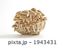 1943431