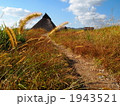 吉野ヶ里遺跡１０