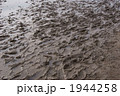 1944258