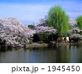 石神井公園