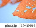 穴だらけ