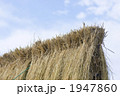 はざがけ