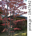 池上百竹亭　和風の庭　紅葉