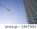 ビルと街灯