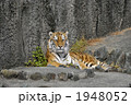 1948052