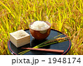 稲穂　米畑とお膳
