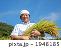 農業　豊作の稲穂を抱える　農夫