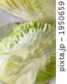 白菜の削ぎ切り