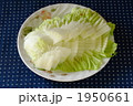 白菜の削ぎ切り