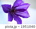 1951040