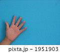 1951903