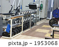 スポーツジムのトレーニング器具