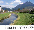 湯布院の秋