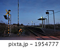 1954777