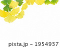 1954937