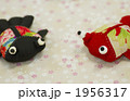 ちりめん金魚