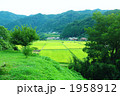 山間の風景
