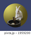 月のウサギ