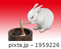 ウサギの餅つき