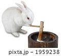 ウサギの餅つき（白バック）
