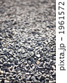 1961572