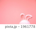 うさぎのぬいぐるみの耳
