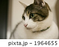 1964655