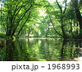 05月　新緑の水辺01