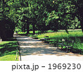 ワジェンキ公園