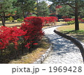 紅葉の散歩道