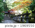 日光の社寺の紅葉
