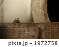 1972758