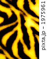 1975961