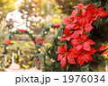 クリスマス飾り付け