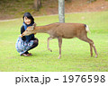 奈良公園のシカにシカせんべいをあげる若い女性