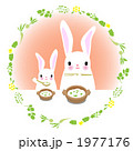 うさぎ七草