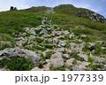 登山道