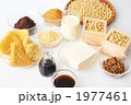 大豆食品