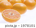 みかん