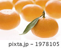 みかん