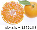 みかん