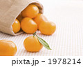 みかん