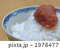 たらこでご飯