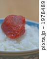 たらこでご飯