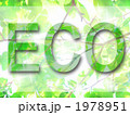 eco